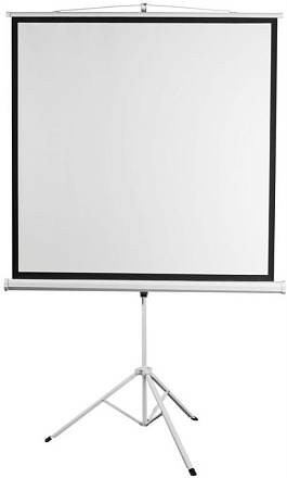 Экран 200x200см Digis Kontur-D DSKD-1106 1:1 напольный рулонный