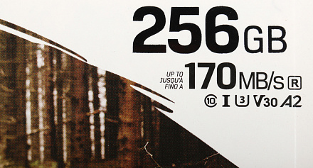 Флеш карта microSDXC 256GB Kingston SDCG3/256GBSP Canvas Go! Plus w/o adapter